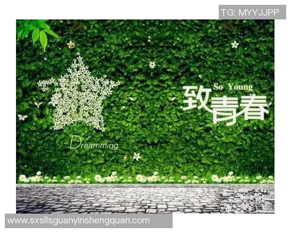 深圳篮球队的华丽转身：洲际杯背后的奋斗与蜕变之路