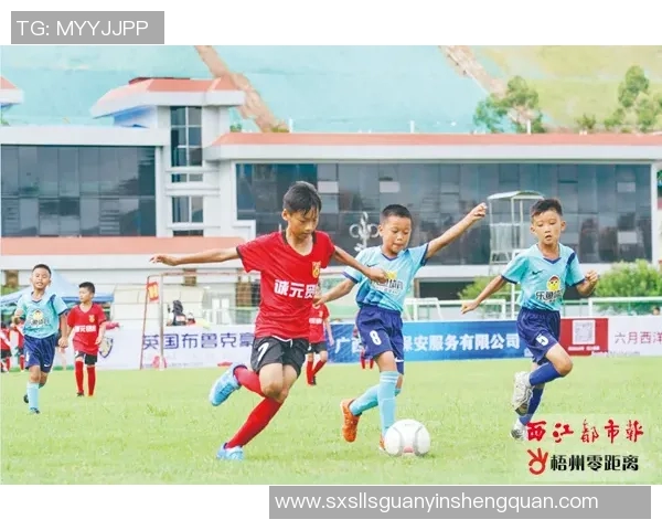 绿茵场上的梦想与荣耀足球明星的偶像人生与成长故事 绿茵场上的梦想与荣耀足球明星的偶像人生与成长故事