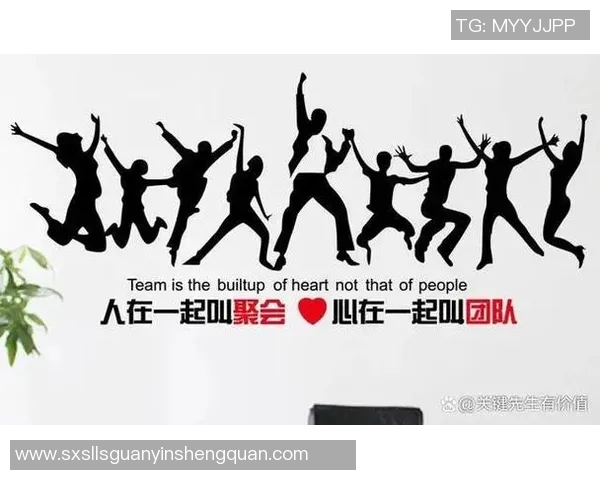 北京乒乓球队在奥运会上的卓越表现与团队力量的深度解析