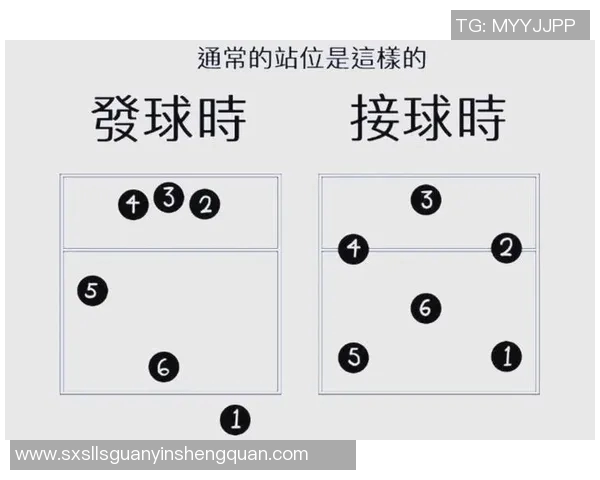 排球新手必看:快速掌握基本技巧与战术的全面指南 排球新手必看:快速掌握基本技巧与战术的全面指南