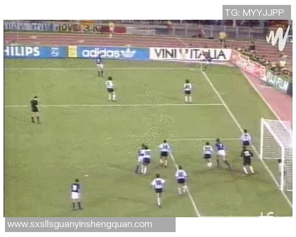 日喀则地区足球明星阵容详细分析与图表展示 日喀则地区足球明星阵容详细分析与图表展示